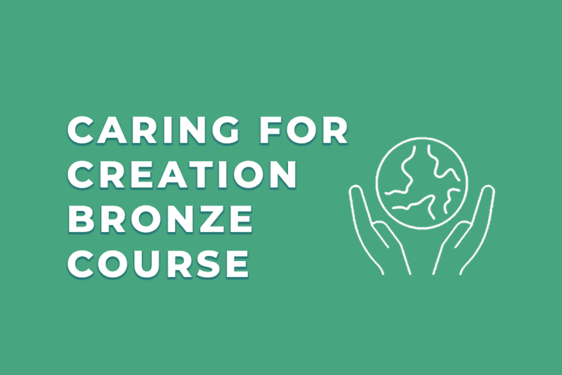Caring for Creation Bronze Course