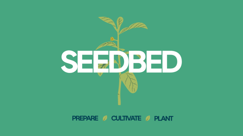 Seedbed: Starting a New Worshipping Community